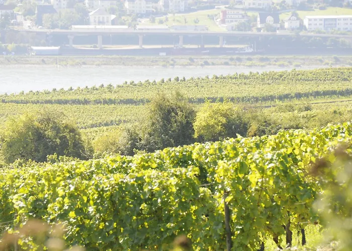 Venkovský dům Landgasthof Germania *