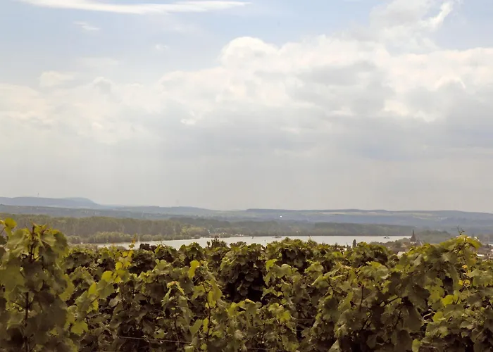 Landgasthof Germania Venkovský dům Rüdesheim am Rhein